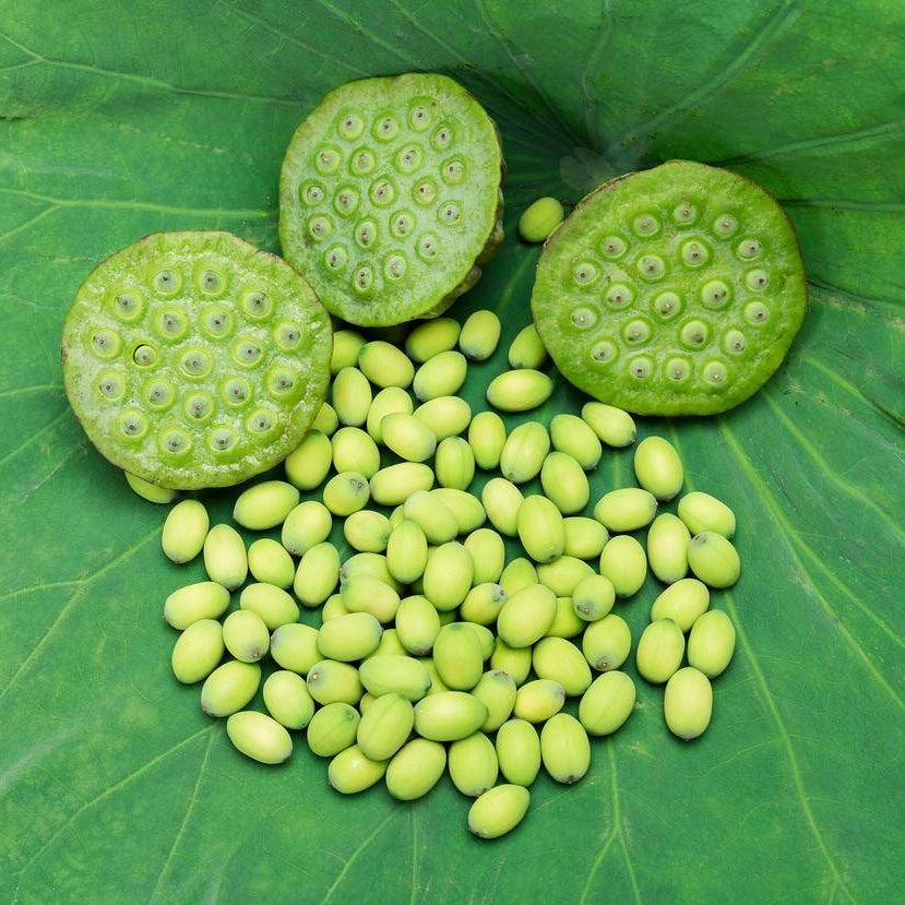 特级莲子芯 128g